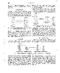 Фиг. 59. <a href="/info/38752">Ферментативное расщепление</a> фруктозо-1,6-<a href="/info/143961">дифосфата</a> на два триозофосфата.