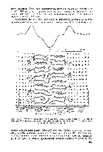 Рис. 11.2. Схема миелиновой мембранной структуры. Вверху — профили влектронной плотности для глазного (штриховая линия) и седалищного (сплошная линия) нервов