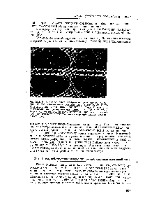 Рис. 20.2. Прямое и зеркальное изображение двух электронно-пози-троняых пар, обраэоваН Ных фотоном космических лучей вблизи ядра атома свинца в свинцовой пластишсе толщиной 1 см в камере Вильсона. Фотография получена примерно в 1934 г. Карлом Д.