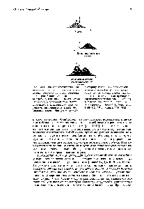 book vorträge der jahrestagung 1972 dgor papers of the annual meeting
