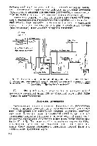 Рис. VII-19. <a href="/info/716098">Схема получения аммиачной воды</a> нз синтетического аммиака 