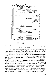 Рис. 3.1. Геохронологическая <a href="/info/132977">таблица химической</a> и <a href="/info/1353609">биологической эволюции</a> Земли (по М. Кальвину, 1971)