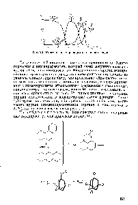 Рис. 79. <a href="/info/40844">Кинетика изомеризации</a> пергидроантрацена
