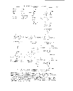 Рис. 12. <a href="/info/567388">Биосинтез фенилаланина</a> и тирозина в бактериях.