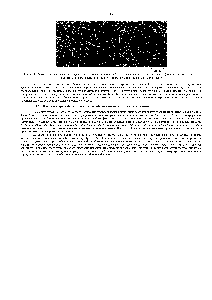 Рис. 1-25. На этой микрофотографии, полученной с помощью <a href="/info/1920410">техники глубокого</a> травления, видна сеть актиновых филаментов. подстилающая
