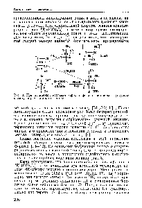 Рис. 3. Предполагаемый <a href="/info/625019">механизм карбонилирования</a> метанола в <a href="/info/1357">уксусную кислоту</a> на родиевом катализаторе.