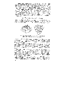 Рис. 11.35. Дегидрогенизация циклогексана (секстетная. модель) на <a href="/info/49580">платиновом катализаторе</a> (схема)
