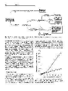 Рис. 2.33. <a href="/info/76658">Синтез белка</a> в <a href="/info/169043">яйцах морского</a> ежа сразу же после онлолотворения. Включение ( С)-лейцина в белки неоплодотворенных (темные кружки) и оплодотворенных (светлые кружки) яиц. (Ло Epel. 1967.)