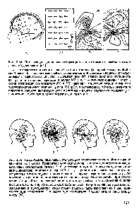 Рис. 2.34. Локализация <a href="/info/1381551">дипольных генераторов</a> эпилептического спайка в левой височной доле мозга [б4] 