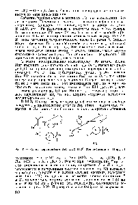 Рис. 6.20. <a href="/info/1148917">Схема перемещения</a> Тир HG2 (140) при оксигенации (Перутц)