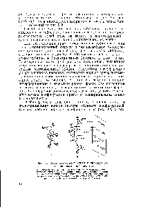 Рис. 3. <a href="/info/107635">Абсолютная конфигурация</a> правовращающей <a href="/info/11089">виннокаменной кислоты</a> а — <a href="/info/82245">модель молекулы</a>, построенная на основании <a href="/info/1892952">данных рентгеноструктурного анализа</a> натриево-рубидиевон соли п б — та же модель после <a href="/info/749022">вращения нижней</a> половины ее <a href="/info/74047">вокруг связи</a>, соединяющей <a href="/info/761665">центры асимметрии</a>, для сравнения с <a href="/info/560894">конфигурационной формулой</a> Фишера