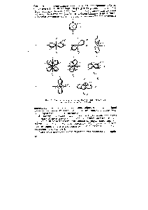 Рис. 1. Формы электронных орбиталей для различных <a href="/info/50618">состояний электронов</a> в атомах