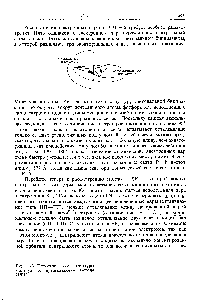 Рис. 11-3. <a href="/info/20960">Геометрические структуры молекул</a> по предсказаниям метода ОВЭП.