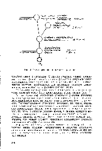 Рис. 2. <a href="/info/103939">Схема превращения</a> аммиака в растении.