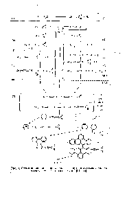 Рис. 3, <a href="/info/877081">Схема поликонденсации</a> <a href="/info/7424">этилового спирта</a> и ацетальдегида на катализаторе Си-силикагель по 64—66]