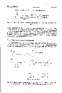 Рис. 9.18. Перекрестная <a href="/info/32055">сложноэфирная конденсация</a> Кляйзена диэтилокса-лата (а) и <a href="/info/51932">перегруппировка бензила</a> в бензиловую кислоту (б).