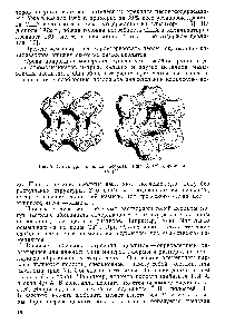 Рис. 7. <a href="/info/190750">Структура каркаса</a> цеолита типа А (а) и фожази-