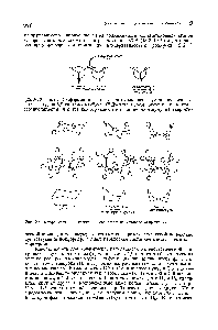 Рис. 9.4. <a href="/info/178175">Конформации циклогексана</a>, свободные от углового напряжения.