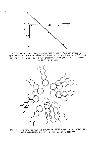 Рис. 11.3. <a href="/info/1499544">Флуктуации молекул</a> ионогенного ПАВ в градиенте г кчектричес-кой проницаемое" и в пределах мицеллярного агрегата.