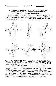 Рис. 10.11. Молекулярные групповые <a href="/info/442006">орбитали лигандов</a>, необходимые для <a href="/info/107778">построения молекулярных орбиталей</a> комплекса, выбранные в соответствии с <a href="/info/671804">октаэдрической симметрией</a> и образованные из атомных х- и р-орби-талей. Ст-<a href="/info/134559">Орбиталями лигандов</a> являются те, <a href="/info/1780163">которые построены</a> из 2х- или 2р-орбиталей, направленных к центральному атому.