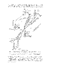 Фиг. 77. Диаграмма парагенезисов грапитоидпых пород в зависимости от химических потенциалов к 1. п1Я и натрия.