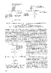 Рис. 25.4. <a href="/info/1898866">Регуляция синтеза гема</a> по <a href="/info/150188">механизму репрессии</a> и дерепрессии синтеза АЛ-синтазы в процессе транскрипции