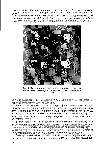 Рис. 3. <a href="/info/190185">Типичная структура</a> электроосажденных сплавов железо — никель — хром, осажденных на отожженной меди.