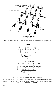 Рис. 27. <a href="/info/325342">Схема строения</a> тейхоевых кислот 