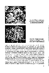 Рис. 2.1. Форма и размеры кристаллов хлорида натрия до магнитной обработки