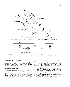 Рис. 38.14. Матричная функция ДНК-цепи при инициированном РНК-затравкой синтезе <a href="/info/509747">комплементарной цепи</a>. Матричная цепь