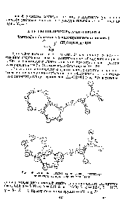 Рис. 69. Строение остатка триптофана в <a href="/info/713554">структуре дипептида</a> глицил-Ь-триптофан ЗНгО