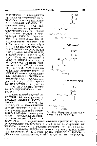 Рис. 4.13. <a href="/info/143595">Превращение вещества</a> S Рейхштейна в преднизолон.