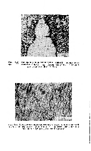 Рис. 125. <a href="/info/57033">Электронно-микроскопический</a> снимок тонкой вискозной пленки, подвергнутой ориентации в процессе застудневания (вытяжка в 2,5 раза, оттенение хромом).