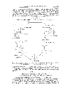 Рис. 10. <a href="/info/36935">Биосинтез жирных кислот</a> [31]. К — н-<a href="/info/53013">алкильная группа</a> 2-5Н — растворимая полиферментная система с сульфгидрильиой группой.