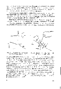 Рис. 6. Термограмма перехода <a href="/info/184239">соли Пейроне</a> в соль Рейзе.