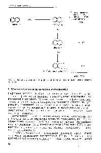 Рис. 6. <a href="/info/295704">Типичные реакции</a> гидрирования полиядерных ароматических углеводородов.