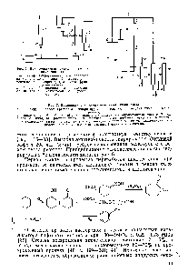 Рис. 7. <a href="/info/1442383">Принципиальная схема</a> окисления циклогексана 