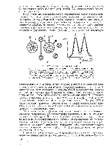 Рис. 172. <a href="/info/1486549">Метод гель-хроматографии</a> а — <a href="/info/68922">схема разделения</a> ( сравнительно небольшие макромолекулы J, про-никвя внутрь гранул набухшего геля , гадерживаются в них, <a href="/info/1609370">более крупные</a> частицы 2, не <a href="/info/399614">способные проникать</a> в гранулы, <a href="/info/400394">проходят между</a> ними), б — <a href="/info/321672">фракционирование полистирола</a> (фракция I, = = 267 ООО, Л1 /М = 08, фракция И М =82 ООО, М /М =1,05) / — <a href="/info/481947">скорость элюирования</a> 26,4 мл/ч 2 — скорость элюирования