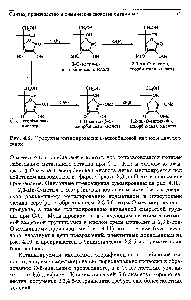 Рис. 4.9. Продукты метилирования L-<a href="/info/7746">аскорбиновой кислоты</a> диадоме-таном.