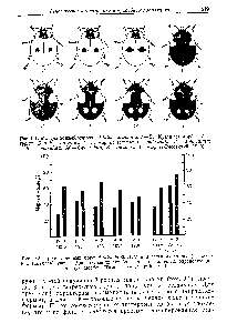 Рис. 9,2, Процент черных морф Ас1аНа Ырипс1а1а при весенних (апрель) и осенних (октябрь) учетах. Два последних столбца — частота а.илелсй, определяющих черную морфу. (Тимофеев-Ресовский, 1940)