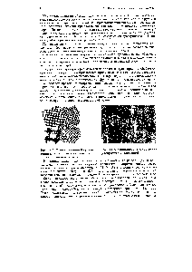 Рис. 11.2. <a href="/info/199469">Схема различной</a> <a href="/info/803735">ориентации кристаллических</a> решеток в поликристаллическом теле.