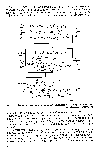 Рис. 2.21. <a href="/info/822885">Блочная схема</a> модели аэробной ферментации микроорганизмов (без