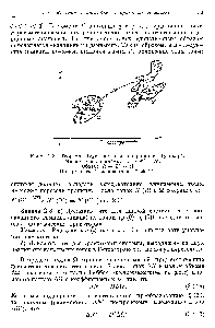 Рис. 2.3. Теорема Лиувилля в интерпретации Пуанкаре.