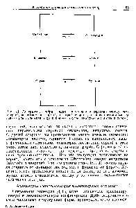 Рис. 4.1. Диаграмма, изображающая взаимосвязи и <a href="/info/2990">переходы между</a> симметрией, веществом и формой, с одной стороны, и противостоящими им асимметрией, энергией и функцией —с другой. (<a href="/info/863296">Рисунок составлен</a> автором.)
