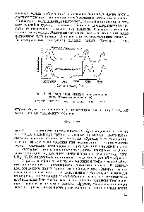 Рис. 3. <a href="/info/97737">Инфракрасные спектры</a> метилметакрилата (полимера и мономера).