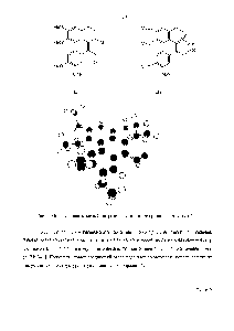 Рис. 1. <a href="/info/74803">Молекулярная модель</a> 8-нитрозо-глауцин (<a href="/info/25563">цвиттер-ионная</a> структура).