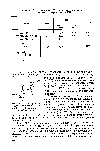 Рис. IX. 12. <a href="/info/74803">Молекулярная модель</a> комплекса <a href="/info/1039017">азотокисного радикала</a> с молекулой пиррола.