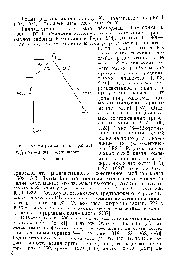 Рис. 1 <a href="/info/1817485">Схема радиоактивного распада</a> К/дГКе — <a href="/info/827943">захват орбитального</a> электрона)