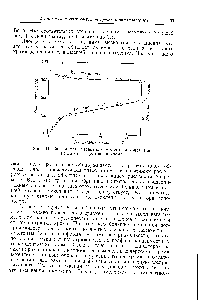 Рис. 11. <a href="/info/512145">Зависимость магнитного</a> момента и константы Вейса от концентрации хрома.