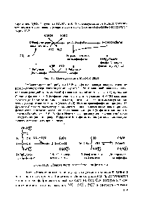 Рис. 11.7. Схема фотосинтетического цикла